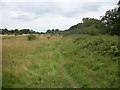 Footpath near Widmer Farm