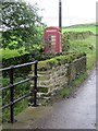 A surviving rural phone kiosk