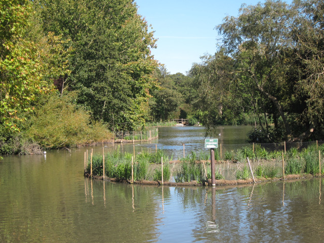 Pond at Hampden Park © Oast House Archive :: Geograph ...