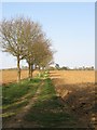 Greensand way just north of Long Common