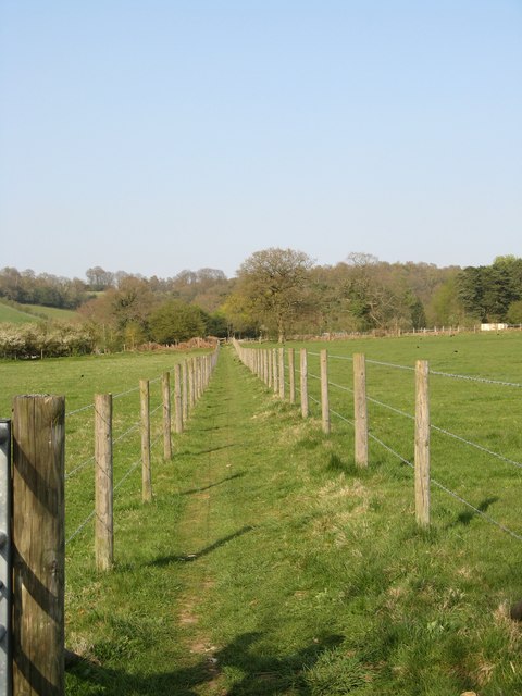 Greensand way crossing the fields east of Shamley Green