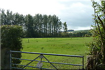 SK2267 : Field and woodland by Coombs Road by Andrew Hill