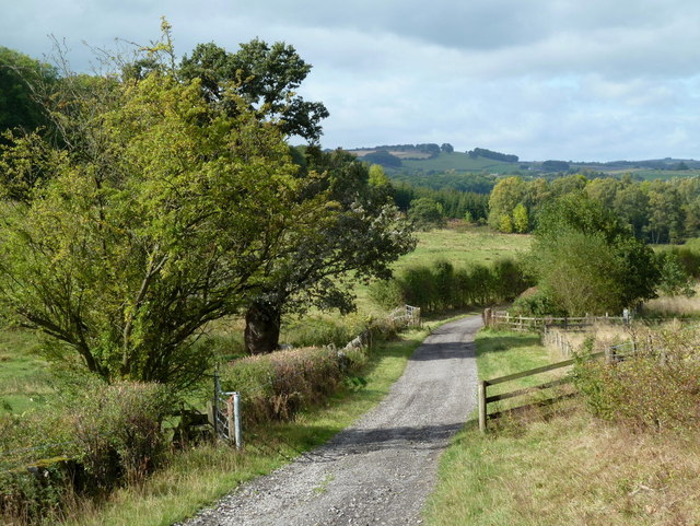 Track below Coombs Farm © Andrew Hill :: Geograph Britain and Ireland