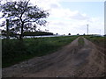 Bridleway to the B1083 Woodbridge Road