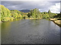 River Spey  from Kincraig Bridge