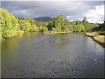 NH8305 : River Spey  from Kincraig Bridge by Peter Bond