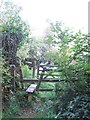 Stile opposite Willingstone Cottages