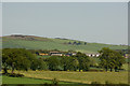 NO4235 : Fields south of Shielhill, near Inveraldie by Mike Pennington