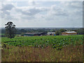 View to Park Farm and beyond