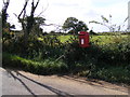 TM3439 : Ferry Road Postbox by Geographer
