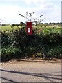 Ferry Road Postbox