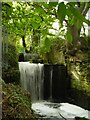 Outfall from Hermitage Mill Pond