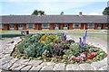 Flowers in Northcott Close