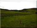 Rough pasture land, Strathbogie