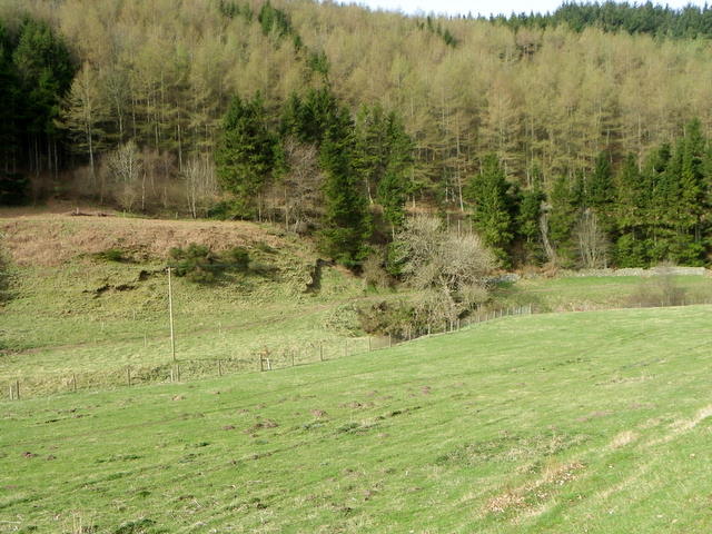 Molehills near Mill Brae