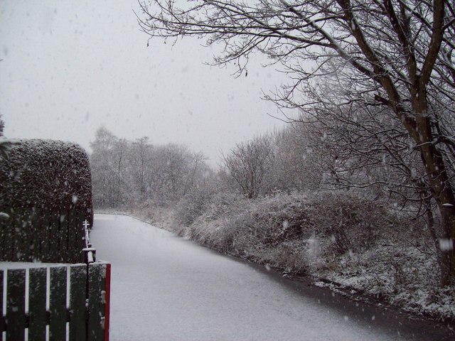 Woods under snow at Burngrange Court