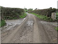 Mud on the Tollumgrange Road near Churchtown