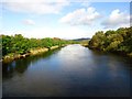 Cambuskenneth, River Forth