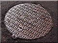 Eccles manhole cover, Belfast (2)