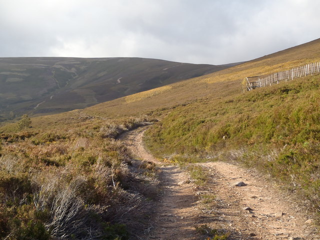 Track leading towards Cock Cairn