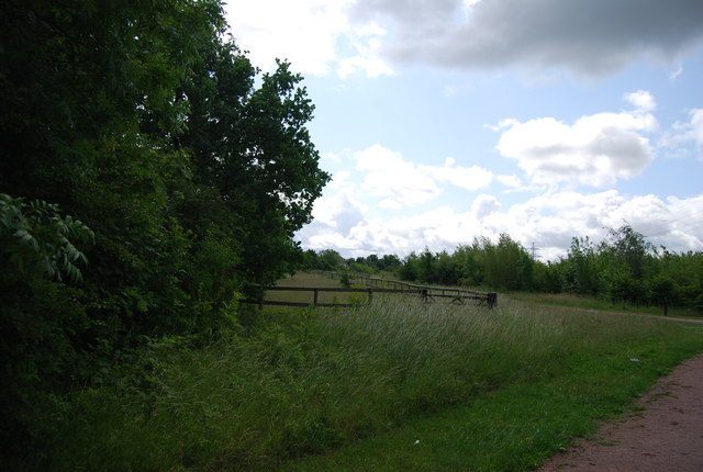 Grassland, Bonnett's Wood