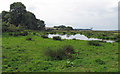 Pond on farmland near Man