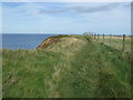 Coastal path towards North Landing