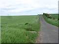 Arable land, High Letham