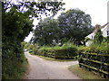 Lane in Butley High Corner