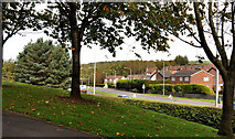 J3874 : Trees, Belmont Park, Belfast (5) by Albert Bridge