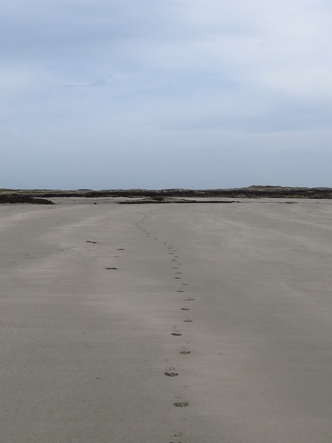 Solitary Size 11 footsteps on Killard Strand