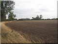 Looking towards Highfield house from Mill Lane