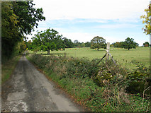 SP2307 : Small lane off the A361 by Nick Smith