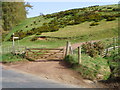 Stile and Gate near Ellemford