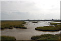 Salt Marsh