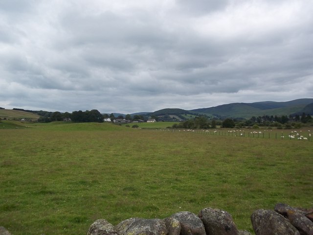 Looking across fields towards the Gallowhill and Moffat Hills