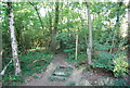 Footpath into Book Hurst Wood