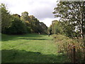 Green Chain Walk in Brenchley Gardens