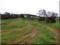 A newly-mowed field, Mulnafye