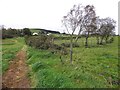 Mulnafye Townland