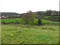 Mulnafye Townland