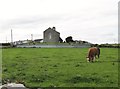 Kilclief Parish Church from Kilclief Castle