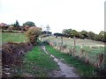 Footpath Between Hall Wood Dike and Potter Hill