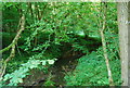 Unnamed stream in Book Hurst Wood