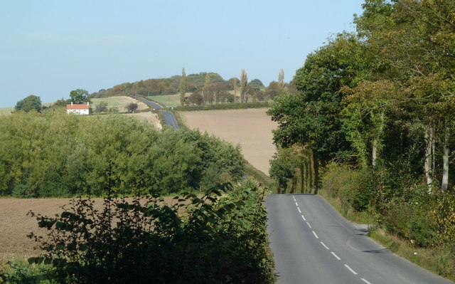Harthill Lane by Car Plantation