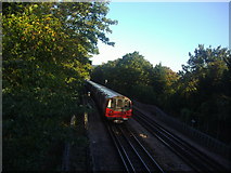 TQ2388 : Northern Line train passing Hendon Park by David Howard