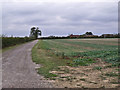 Track to Glebe Farm, near Faldingworth