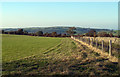 Field adjacent to Pasture Lane