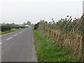 The Downpatrick Road at Ballygilbert