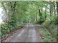 Road to Cae-garw farm